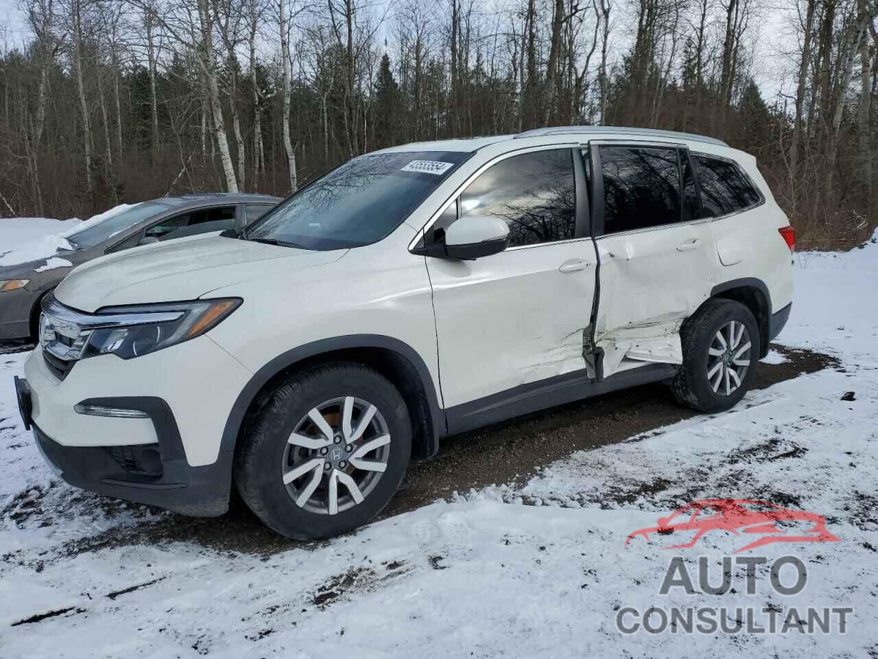 HONDA PILOT 2019 - 5FNYF6H36KB502292