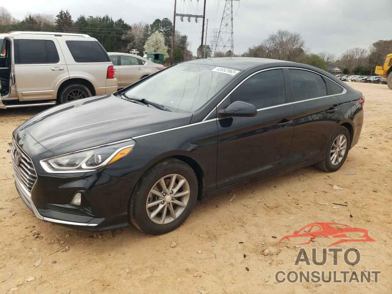 HYUNDAI SONATA 2019 - 5NPE24AF8KH764405