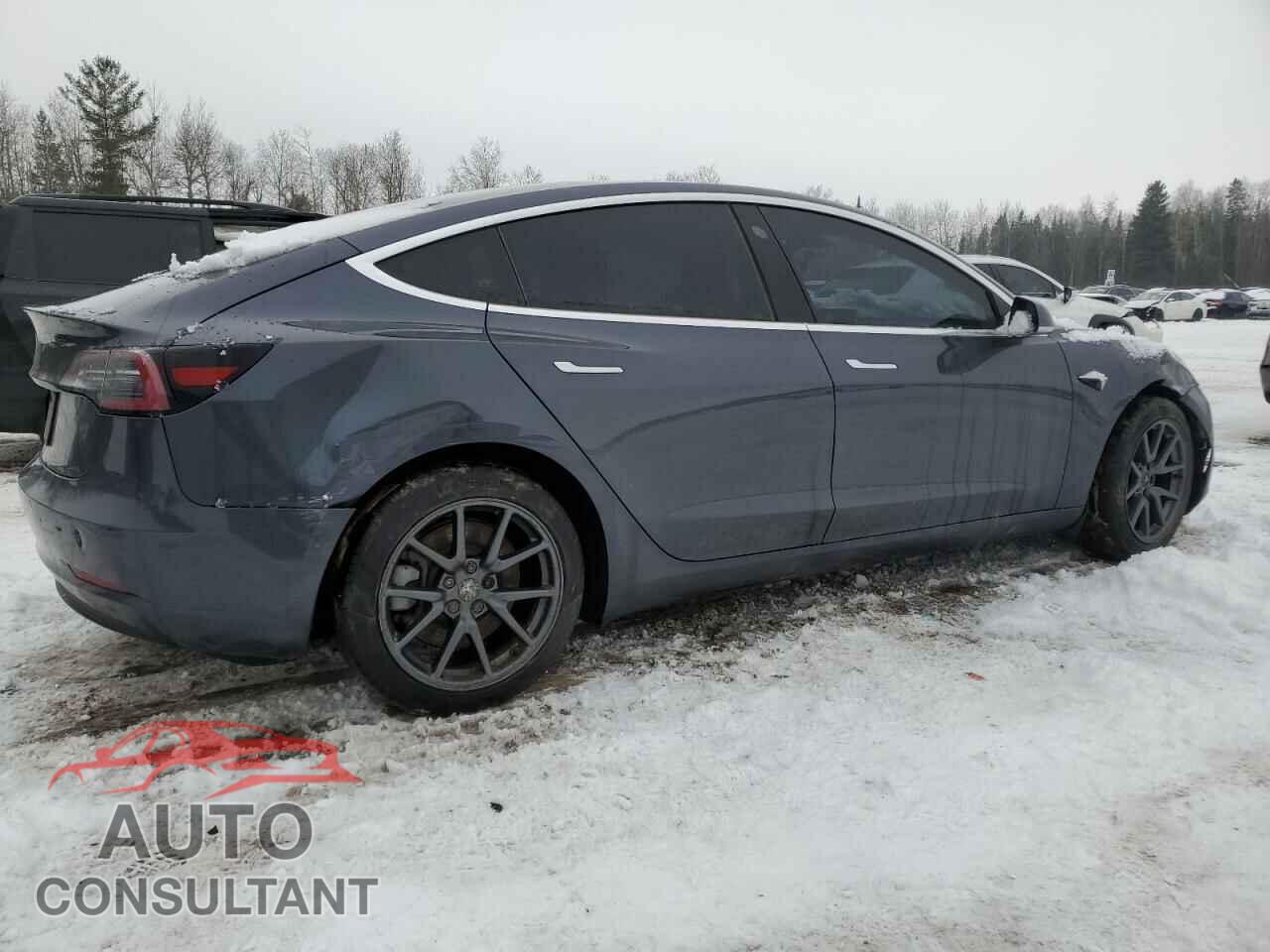 TESLA MODEL 3 2019 - 5YJ3E1EA1KF528950
