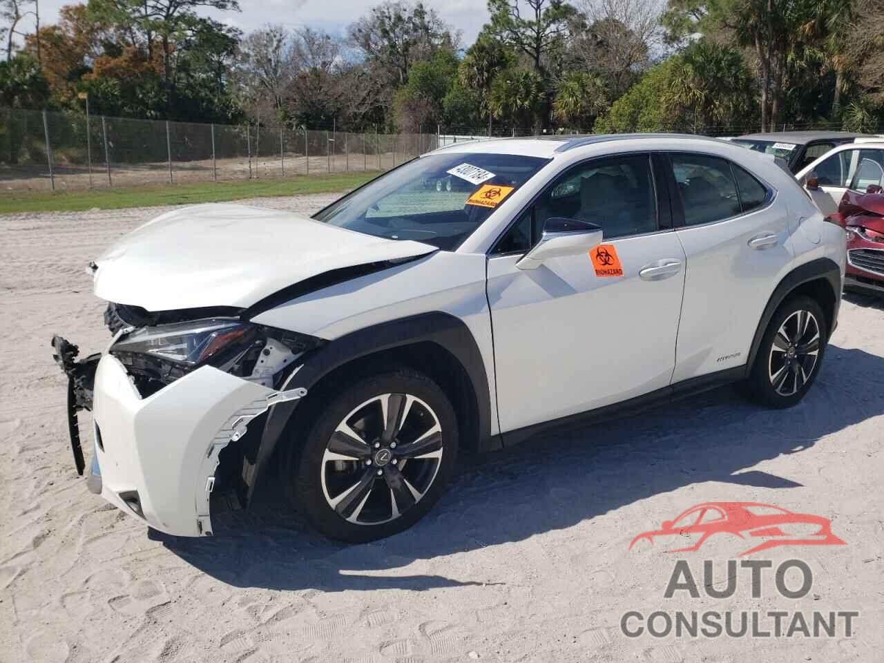 LEXUS UX 250H 2020 - JTHP9JBH2L2022263