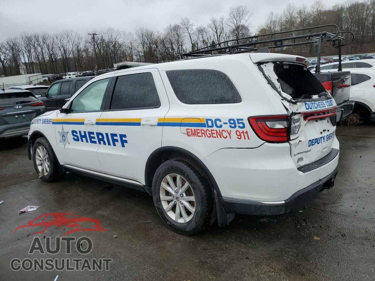 DODGE DURANGO 2019 - 1C4RDJFG1KC781585