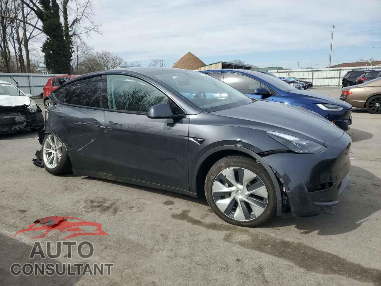 TESLA MODEL Y 2024 - 7SAYGDED1RF003640