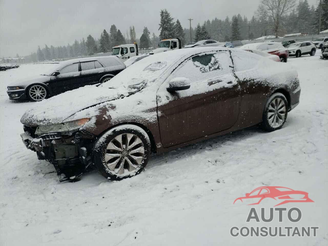 HONDA ACCORD 2013 - 1HGCT1B77DA001460