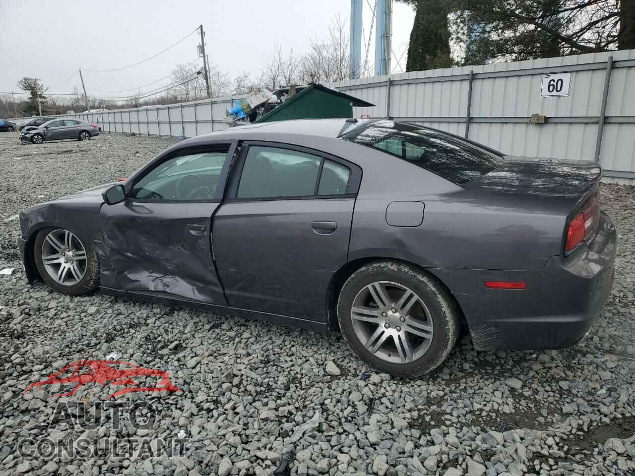 DODGE CHARGER 2013 - 2C3CDXCTXDH738426