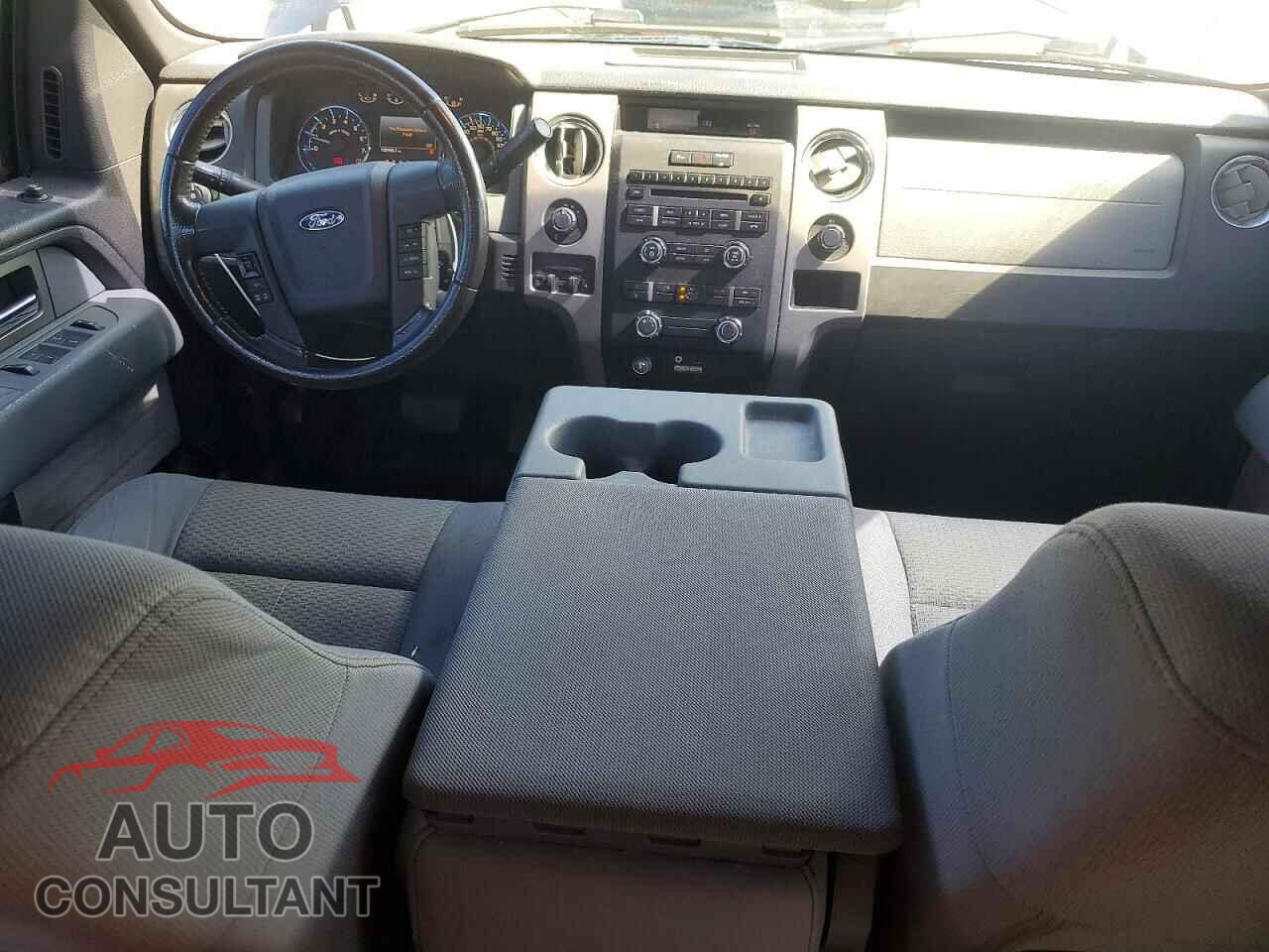 FORD F150 2011 - 1FTFX1EF9BFA25746