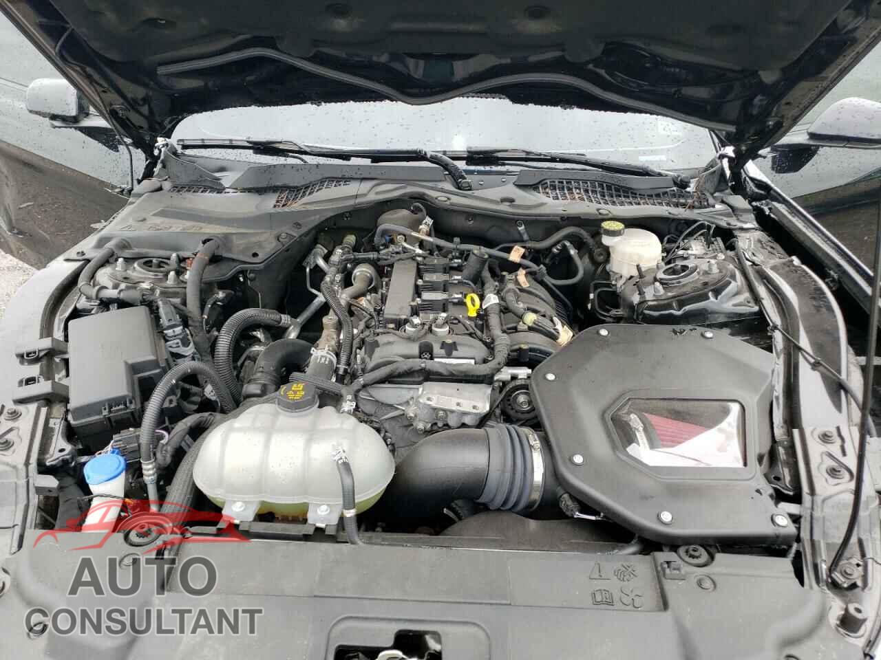 FORD MUSTANG 2021 - 1FA6P8TH0M5113368
