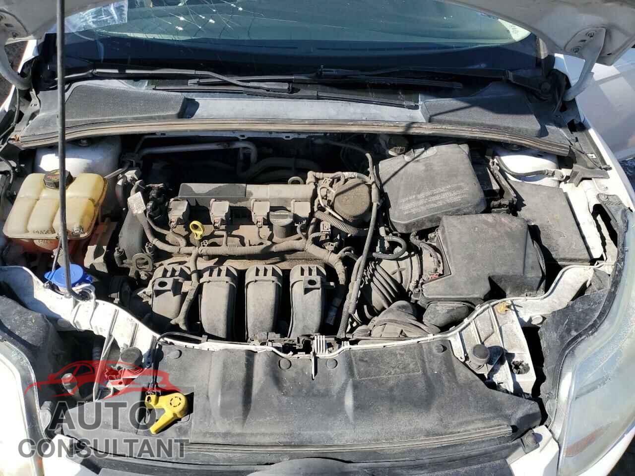 FORD FOCUS 2013 - 1FADP3F22DL219544