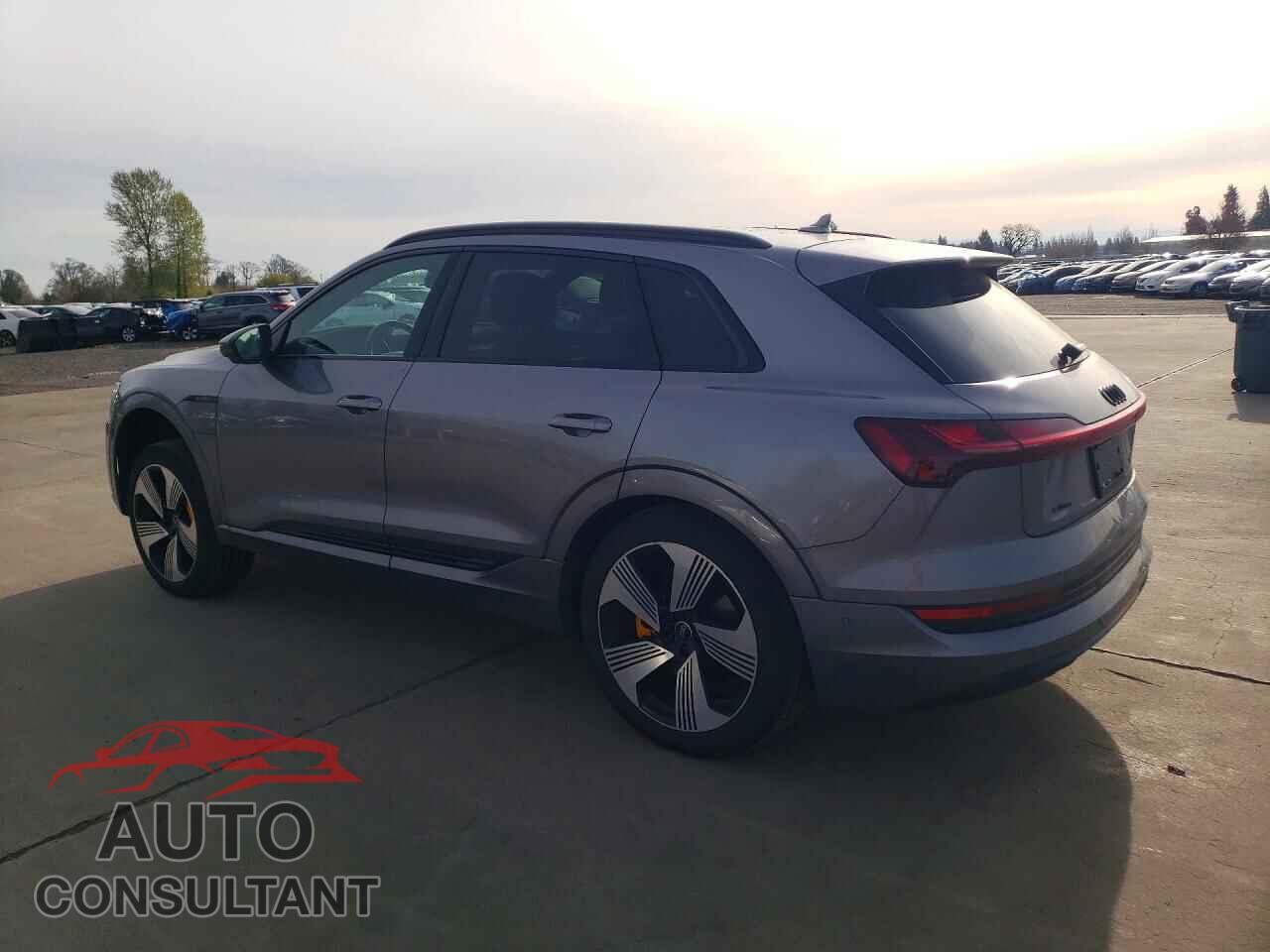 AUDI E-TRON 2022 - WA1LAAGE2NB014103