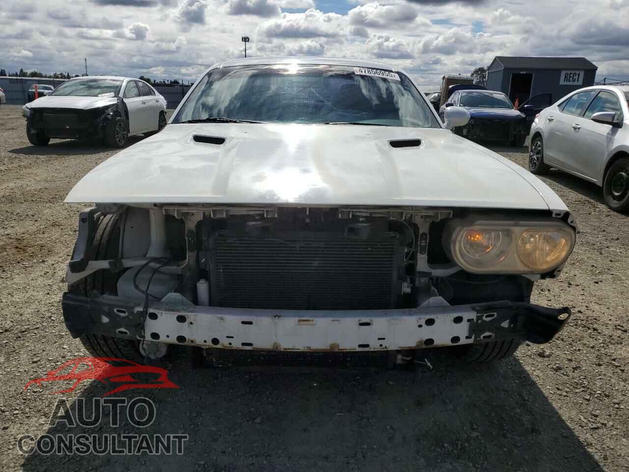 DODGE CHALLENGER 2013 - 2C3CDYAG4DH649821