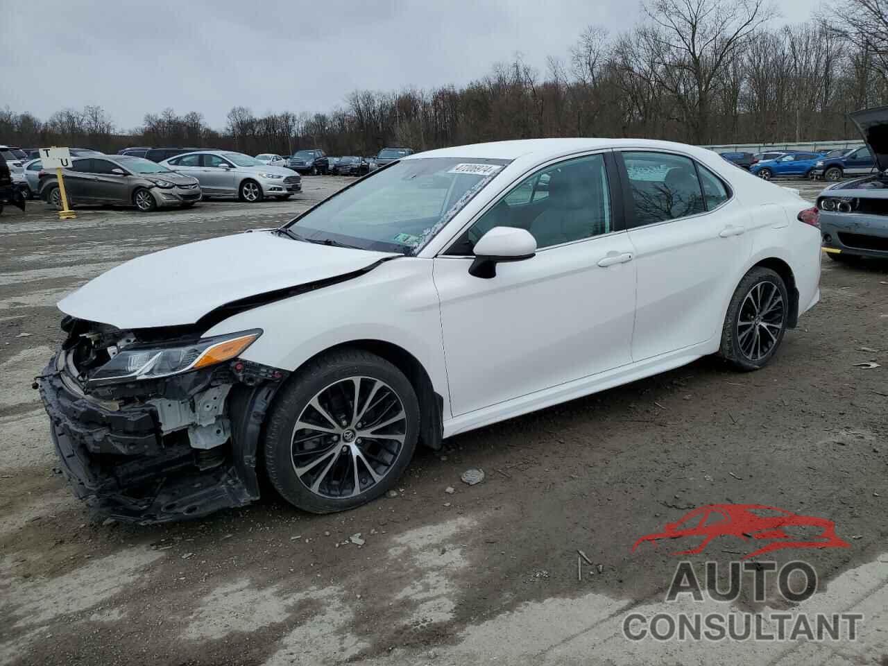 TOYOTA CAMRY 2019 - 4T1B11HKXKU190513
