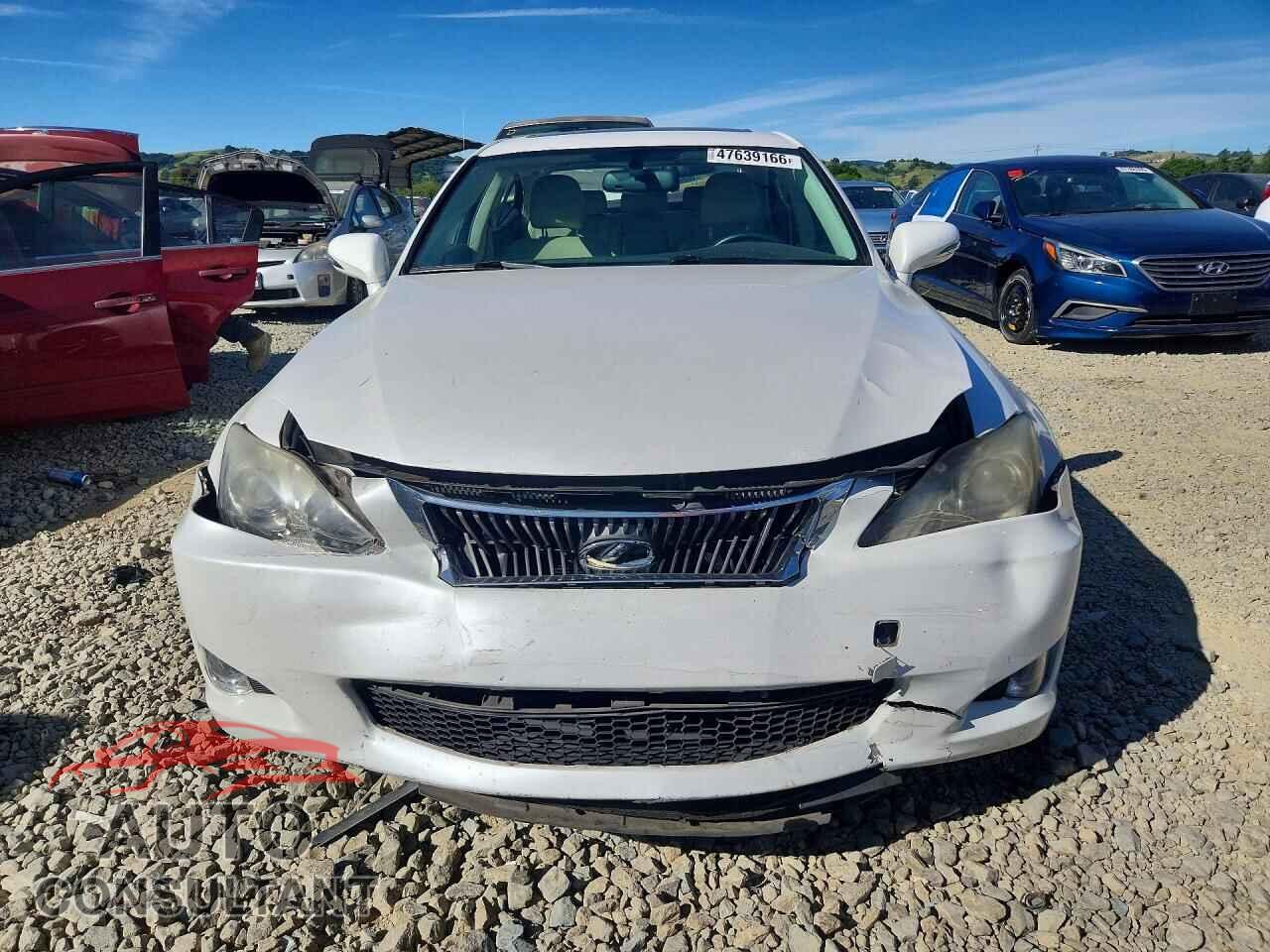 LEXUS IS 2009 - JTHBK262195102588