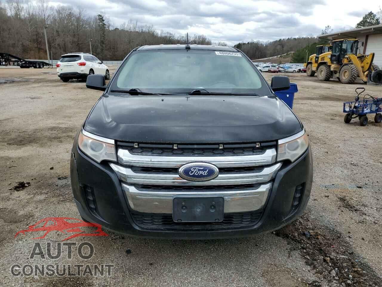 FORD EDGE 2011 - 2FMDK4GCXBBA13533