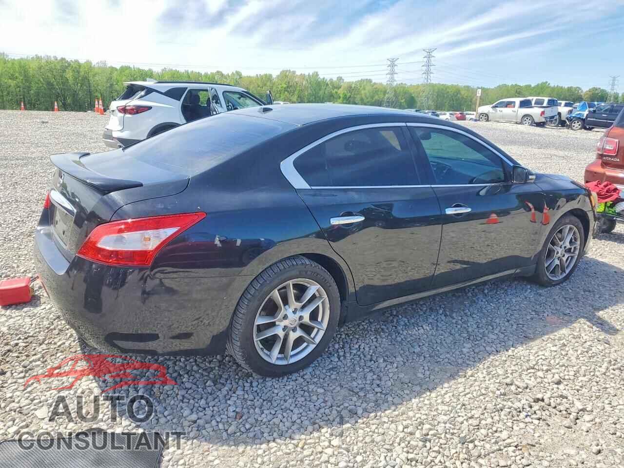 NISSAN MAXIMA 2011 - 1N4AA5AP8BC860679