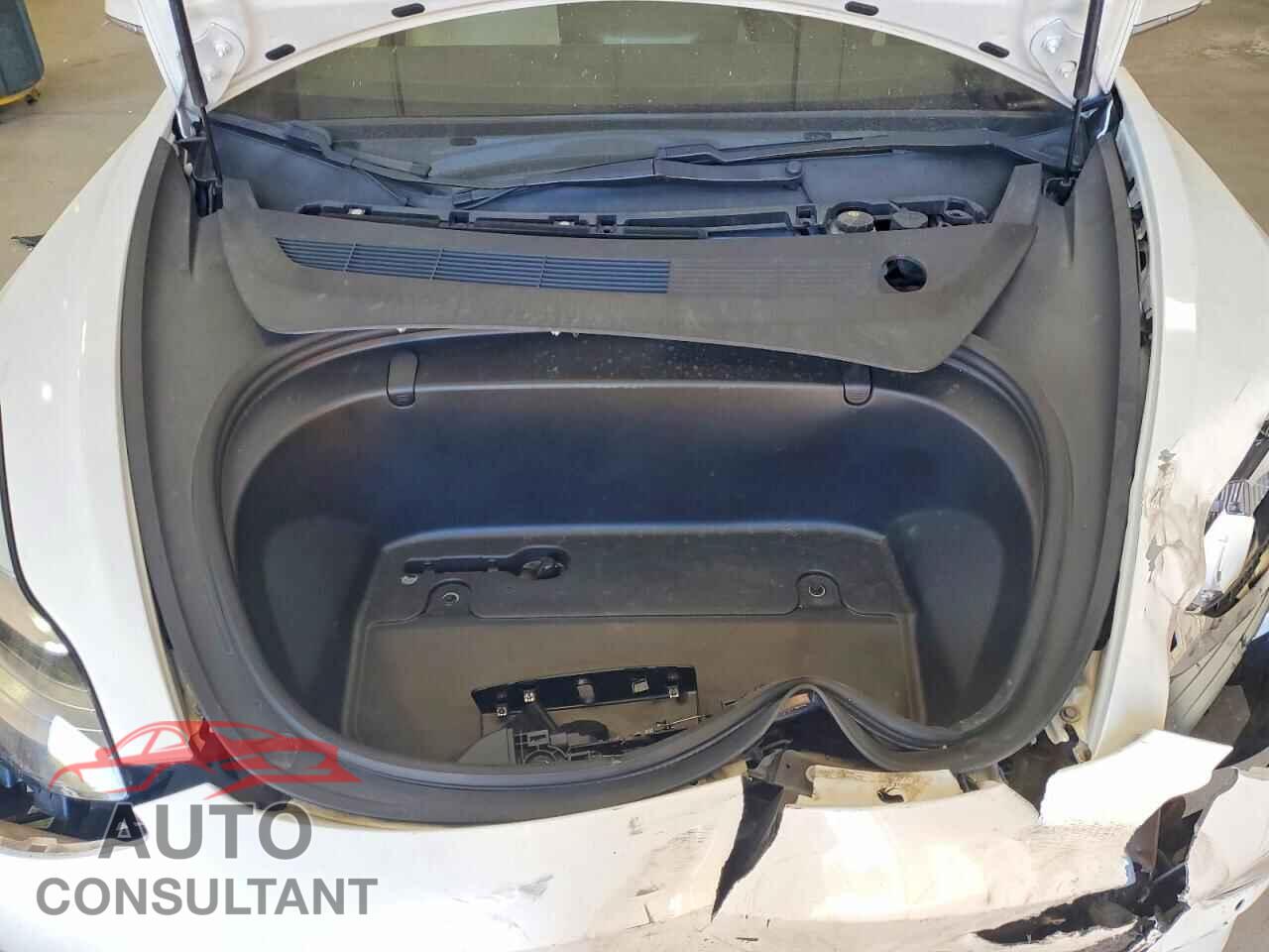 TESLA MODEL 3 2019 - 5YJ3E1EAXKF486262
