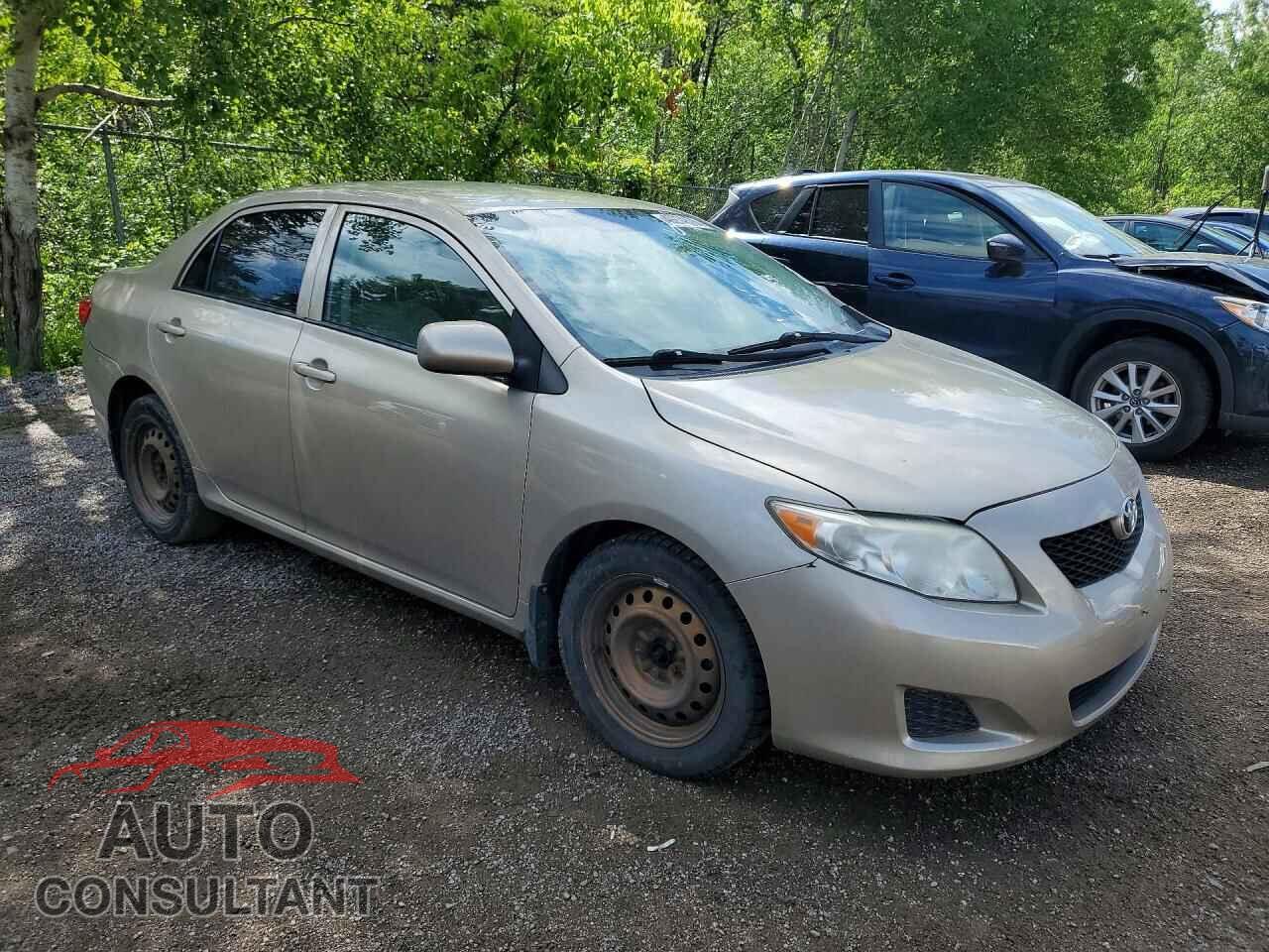 TOYOTA COROLLA 2010 - 2T1BU4EE3AC324513