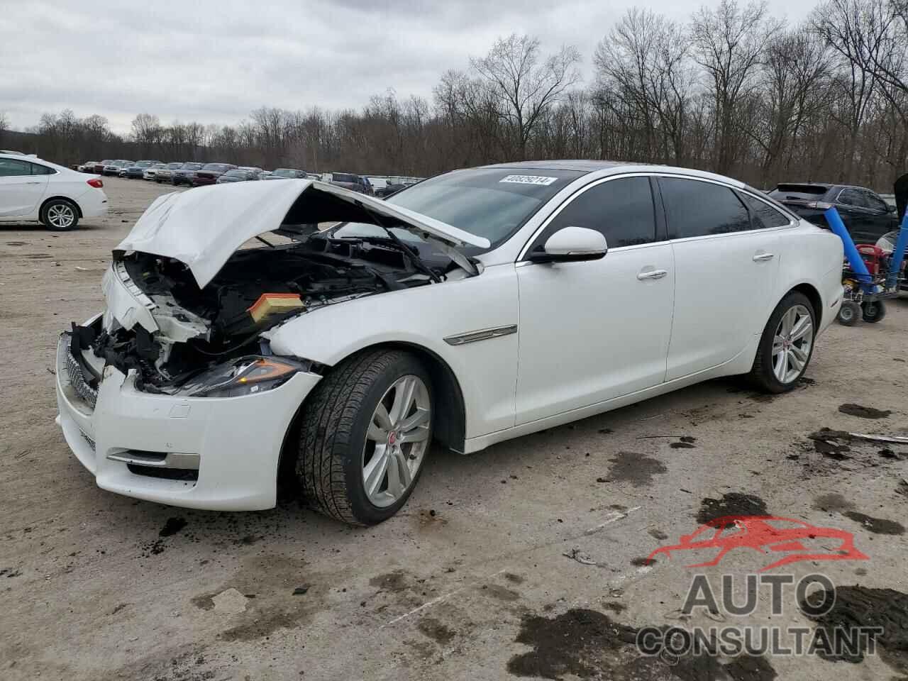 JAGUAR XJ 2016 - SAJWJ2GD7G8W02936