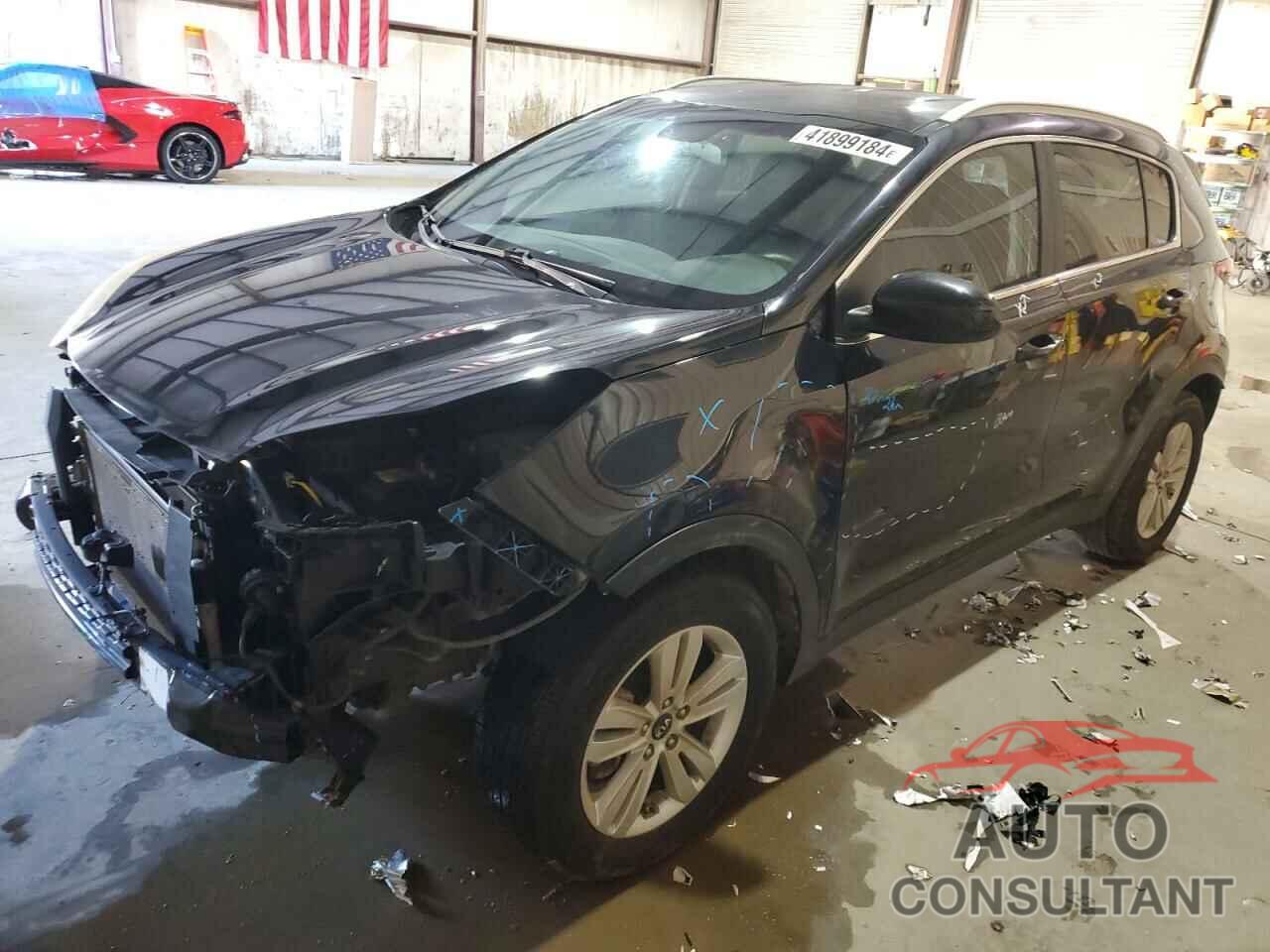 KIA SPORTAGE 2017 - KNDPM3AC7H7081515