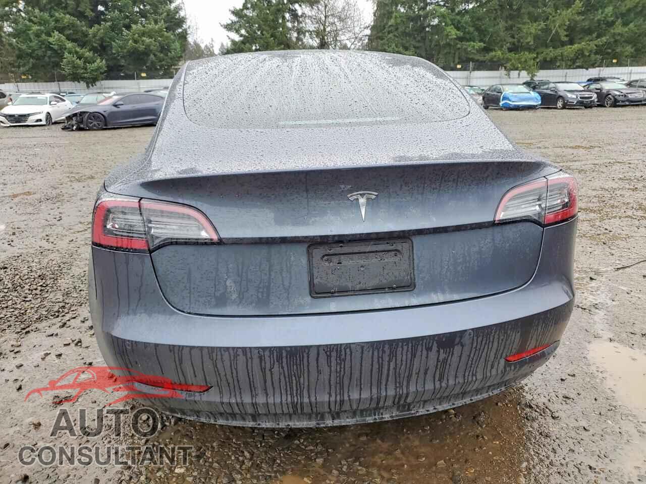 TESLA MODEL 3 2019 - 5YJ3E1EA1KF447463