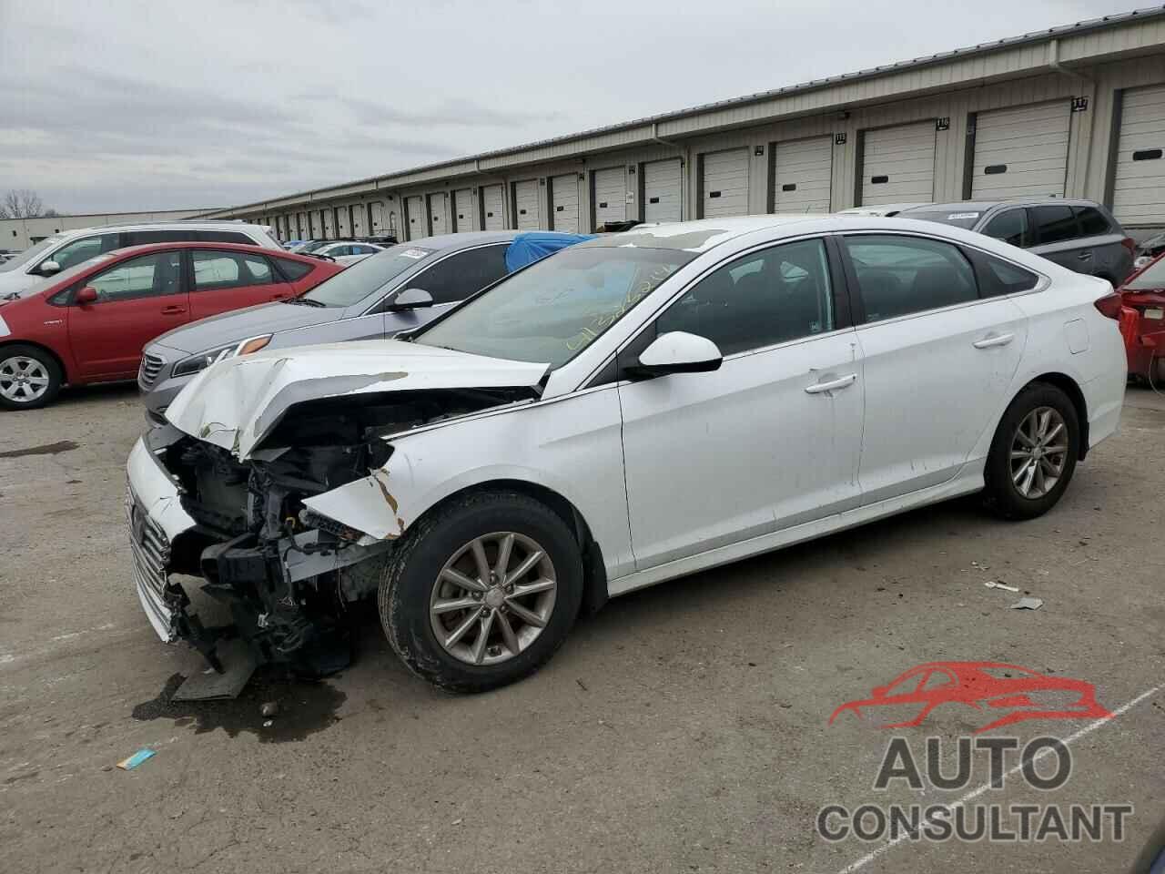 HYUNDAI SONATA 2018 - 5NPE24AF3JH629086