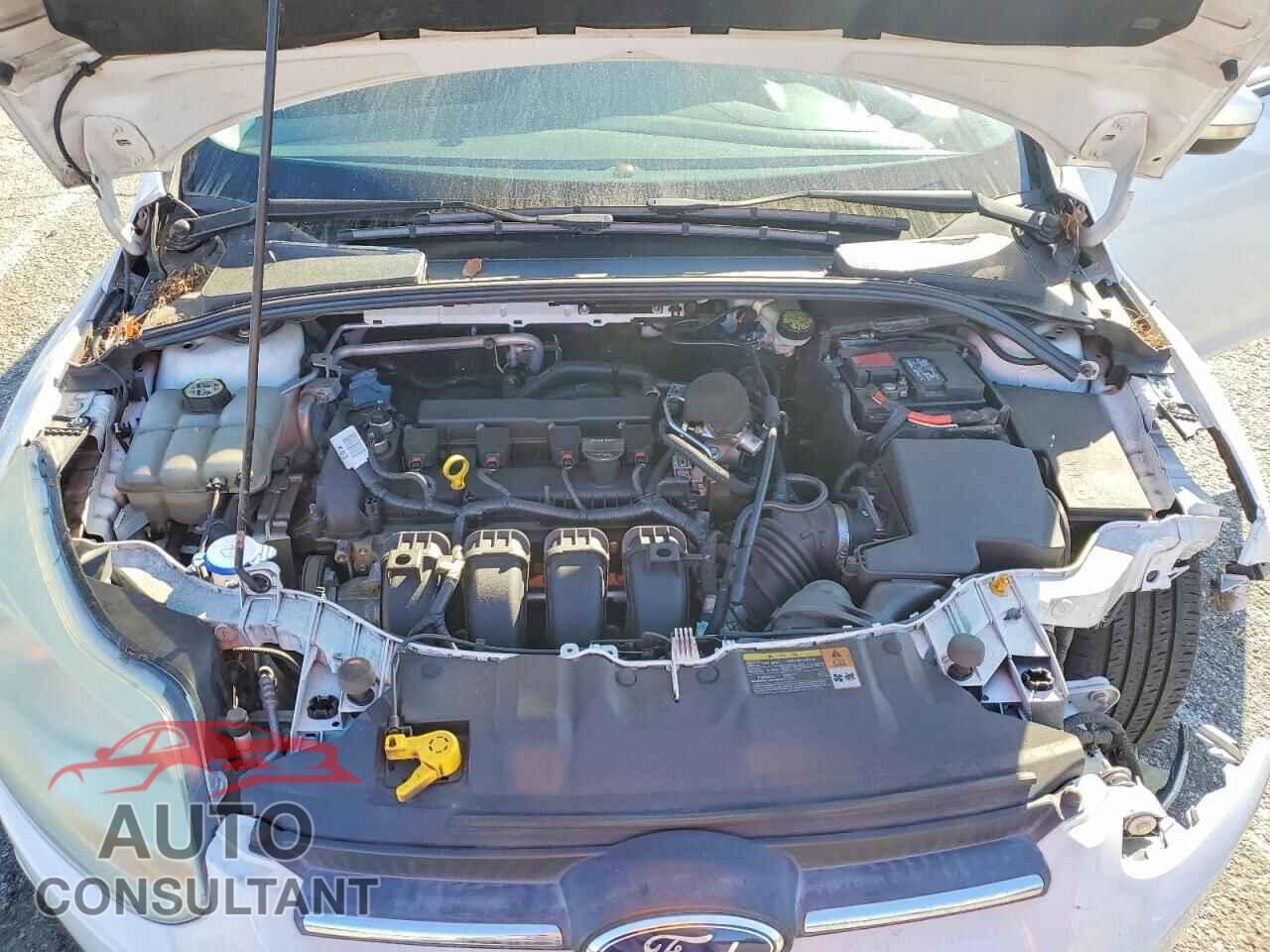 FORD FOCUS 2014 - 1FADP3F29EL219283