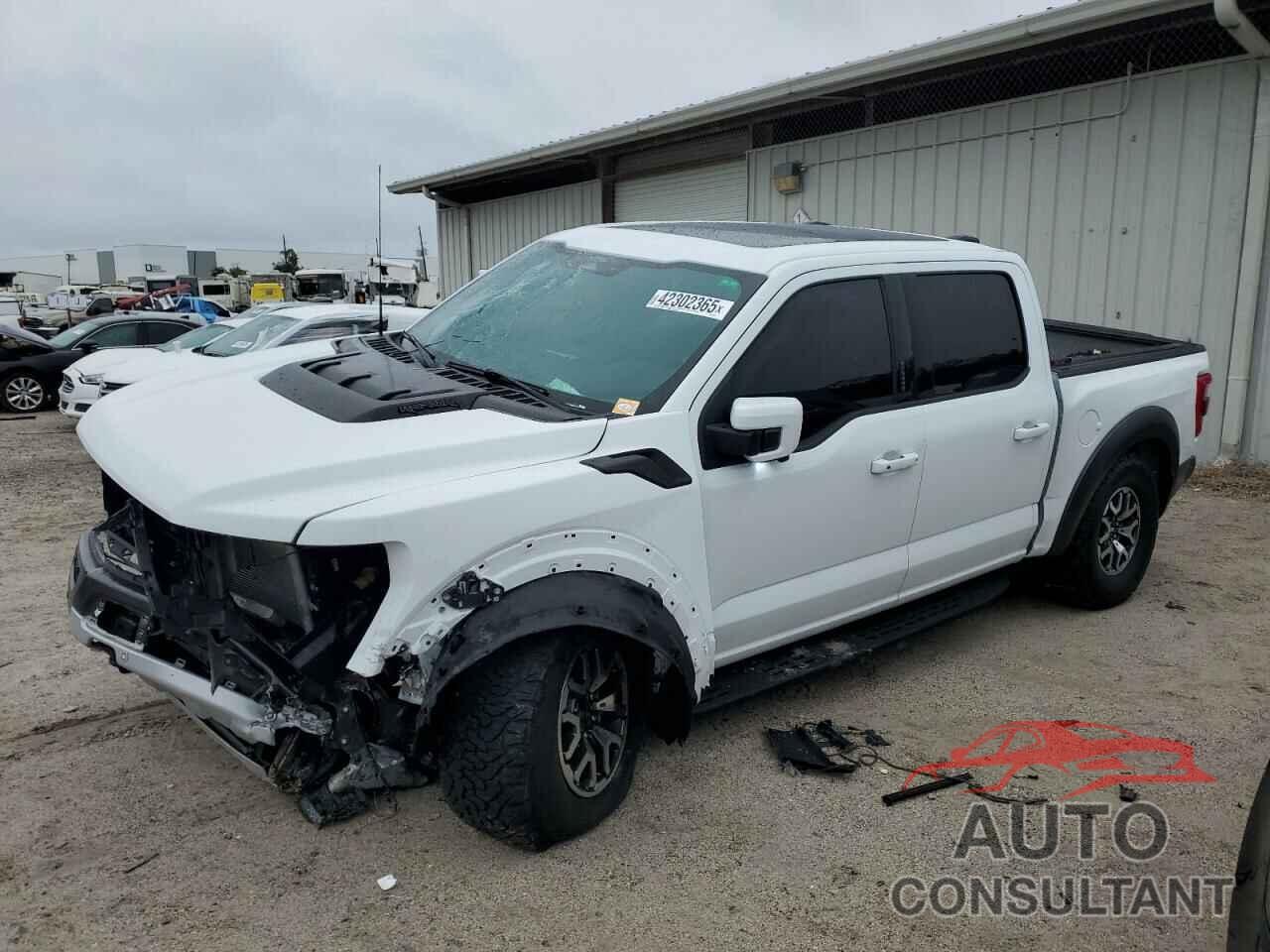FORD F150 2022 - 1FTFW1RG0NFC19981