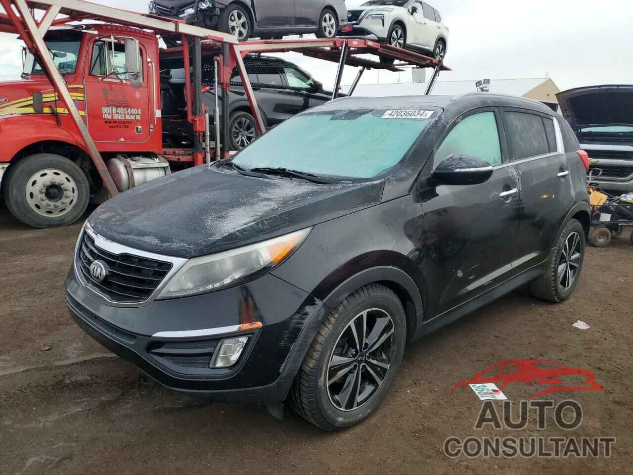 KIA SPORTAGE 2016 - KNDPC3A6XG7803653