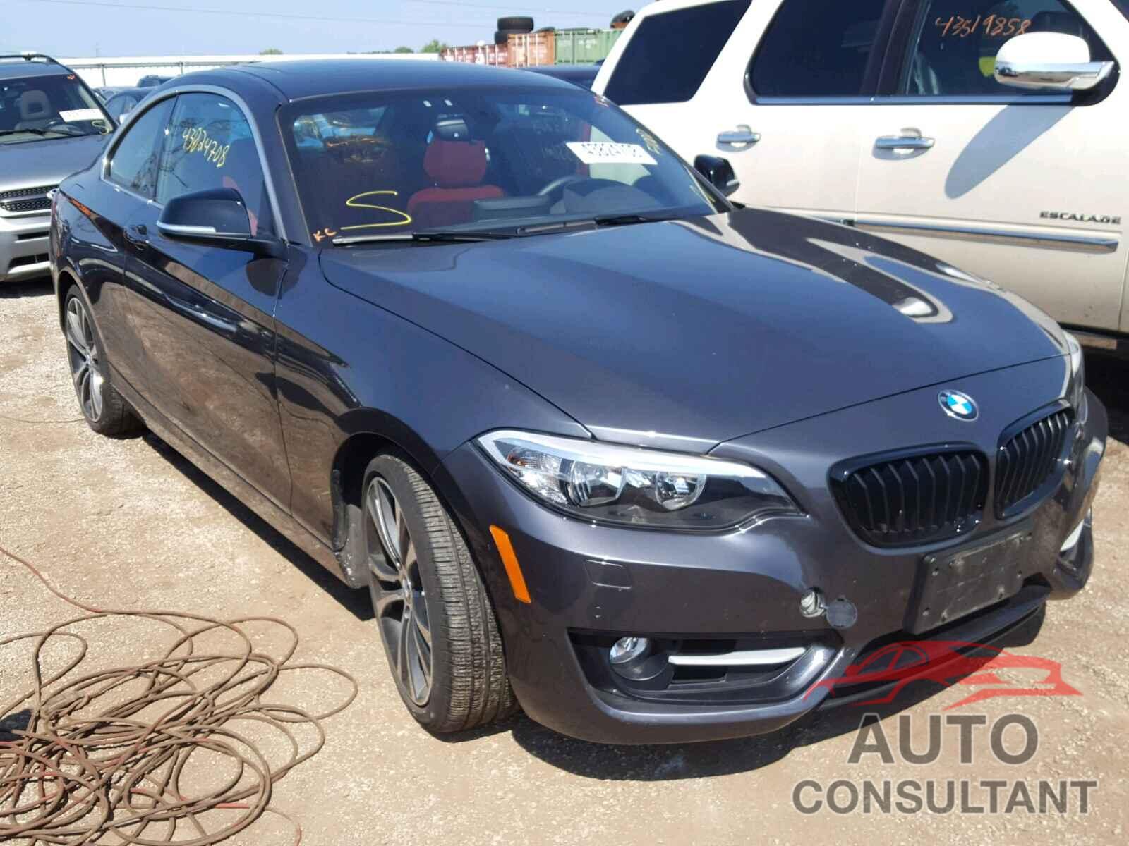 BMW 228 I 2015 - WBA1F5C57FV343422