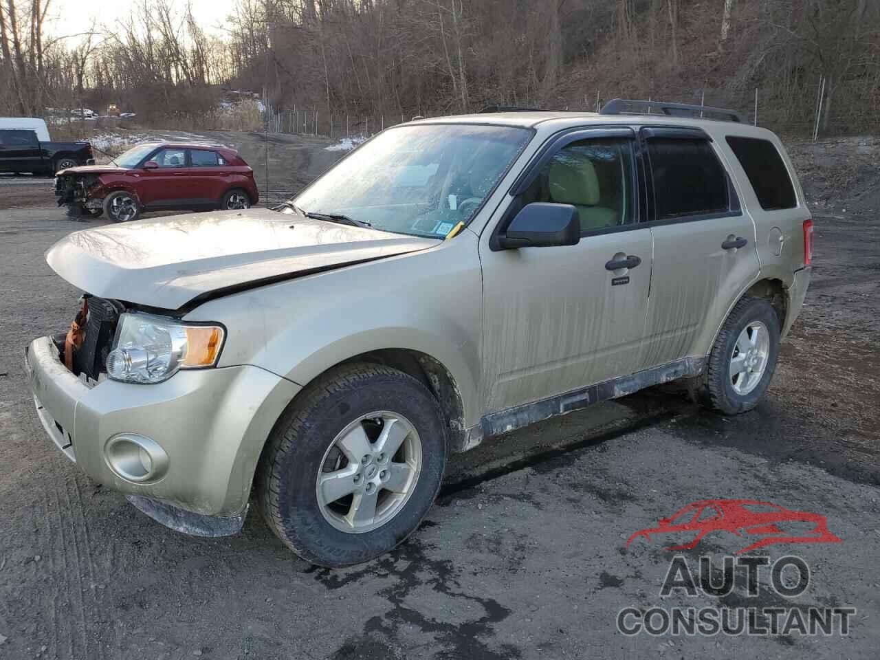 FORD ESCAPE 2011 - 1FMCU9D76BKC54828