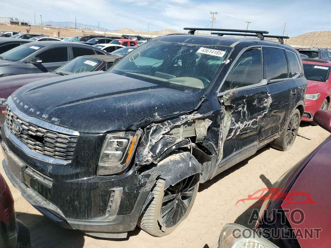 KIA TELLURIDE 2020 - 5XYP5DHC3LG022529