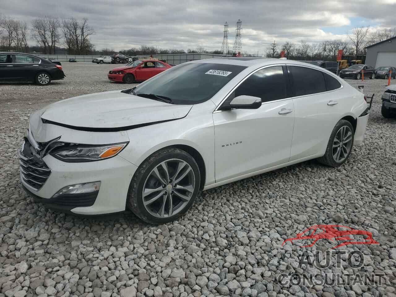 CHEVROLET MALIBU 2019 - 1G1ZE5SX5KF145169