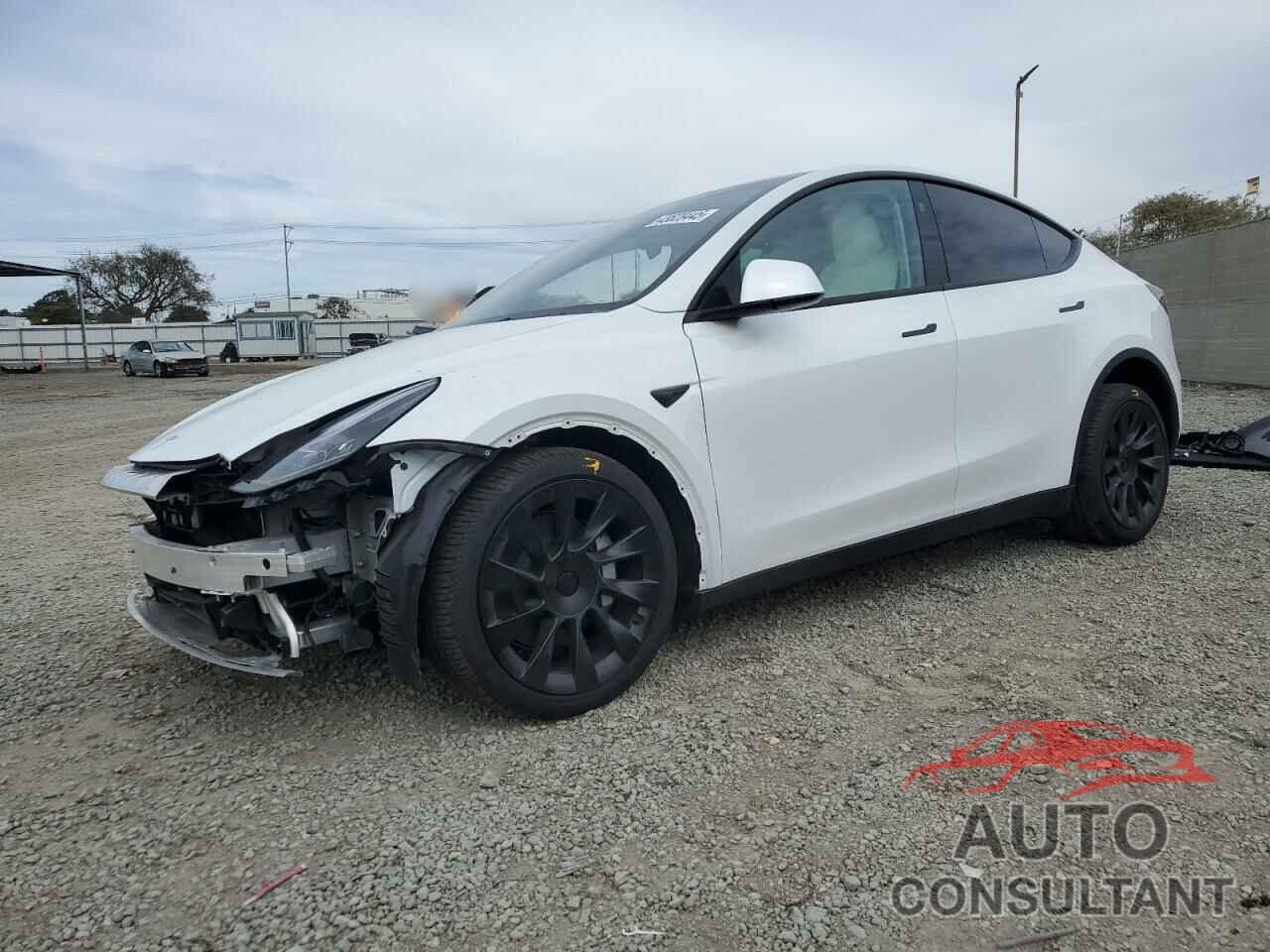 TESLA MODEL Y 2024 - 7SAYGDEE4RF082262