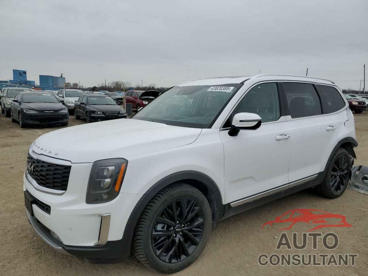 KIA TELLURIDE 2022 - 5XYP5DHC0NG263225