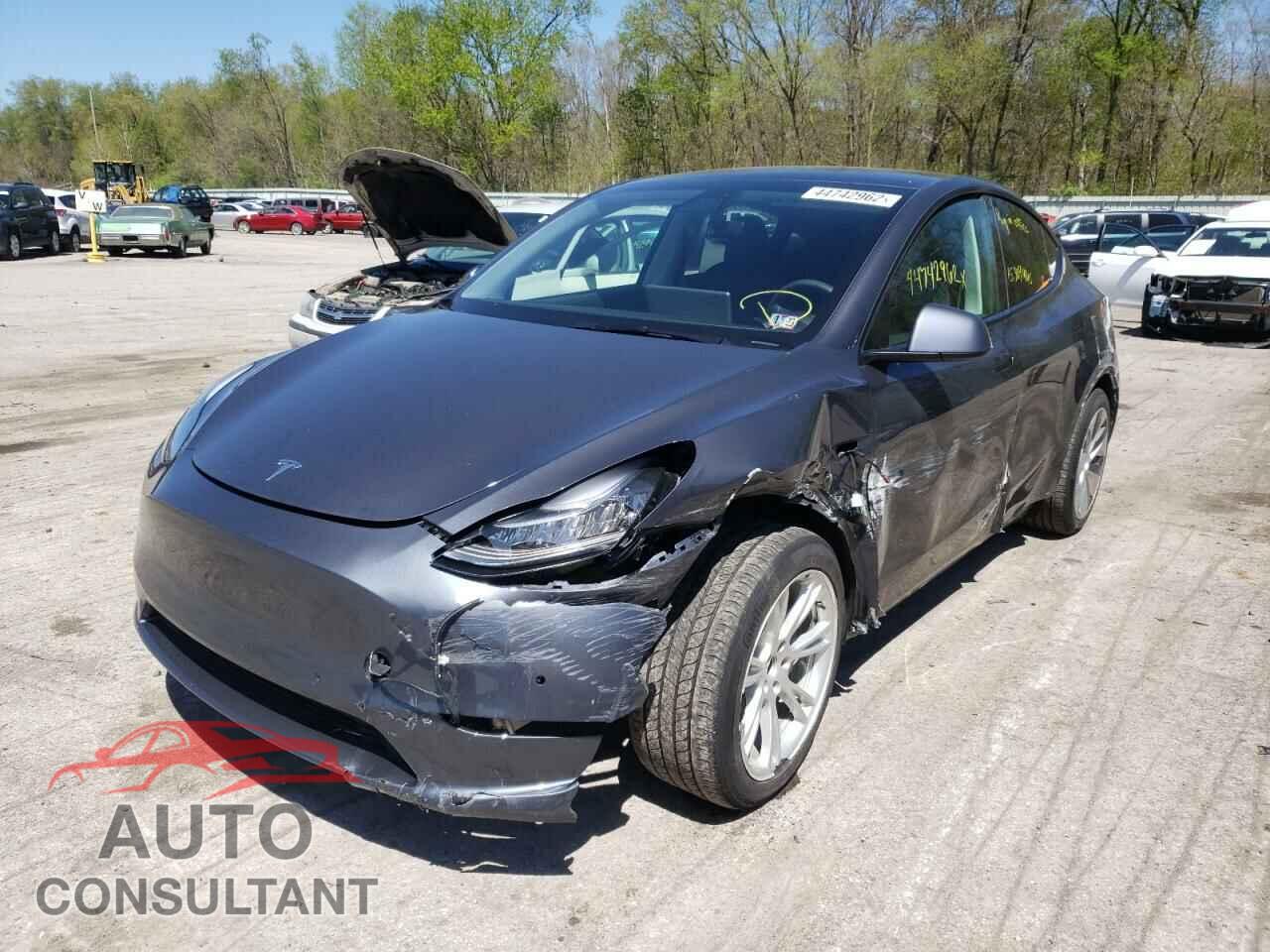TESLA MODEL Y 2021 - 5YJYGDEE3MF241035