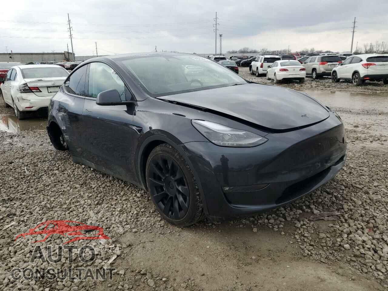TESLA MODEL Y 2024 - 7SAYGDEEXRF988853