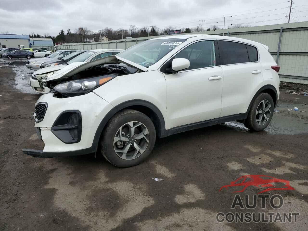 KIA SPORTAGE 2022 - KNDPM3ACXN7983457
