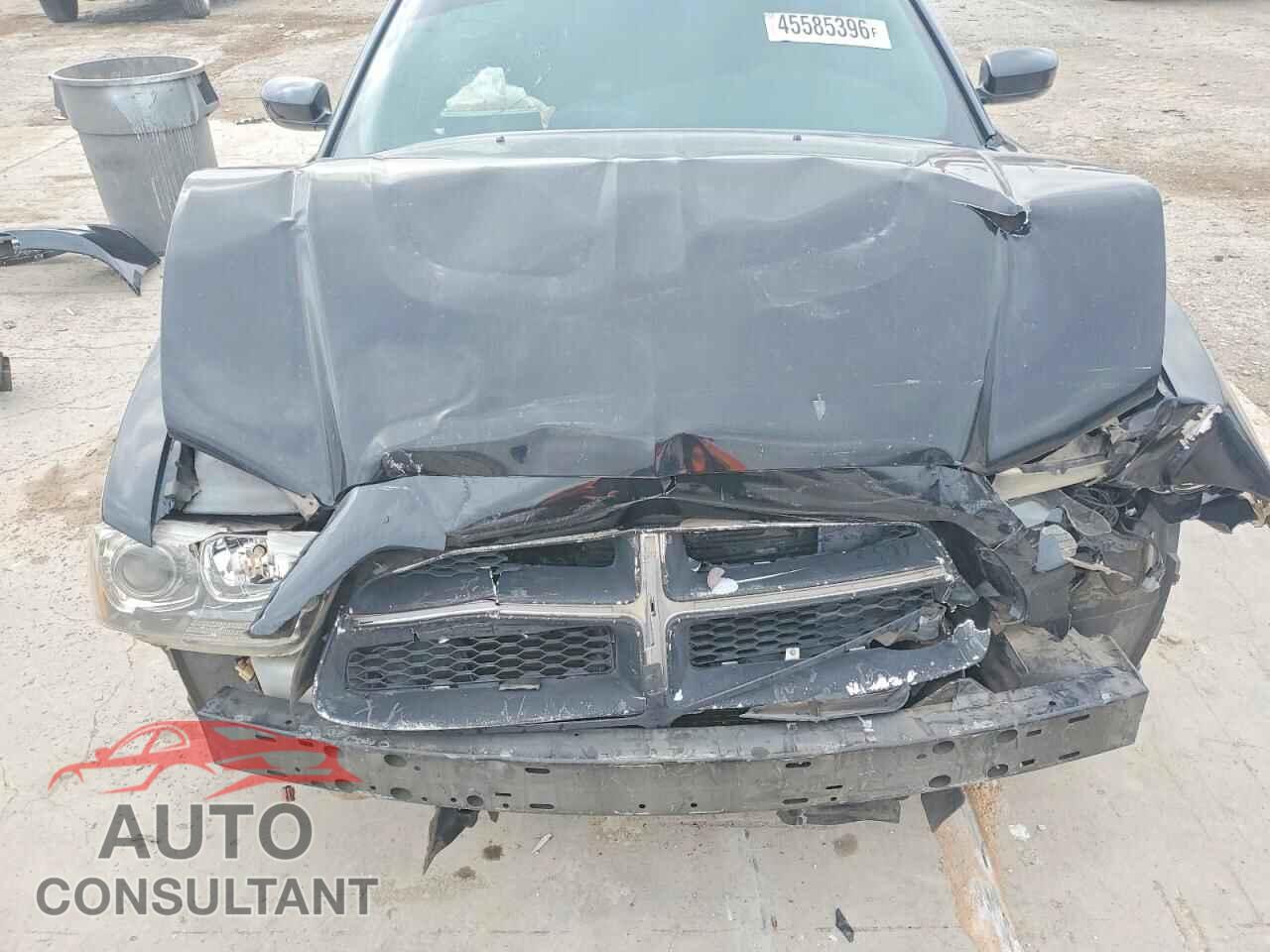 DODGE CHARGER 2014 - 2C3CDXCTXEH362988