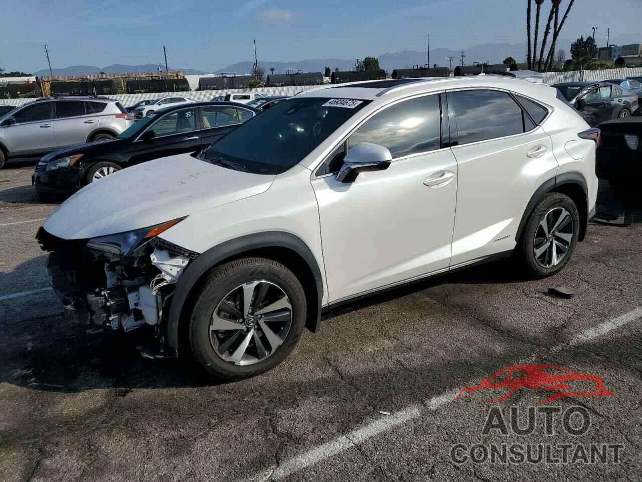 LEXUS NX 2020 - JTJGJRDZ9L5007266