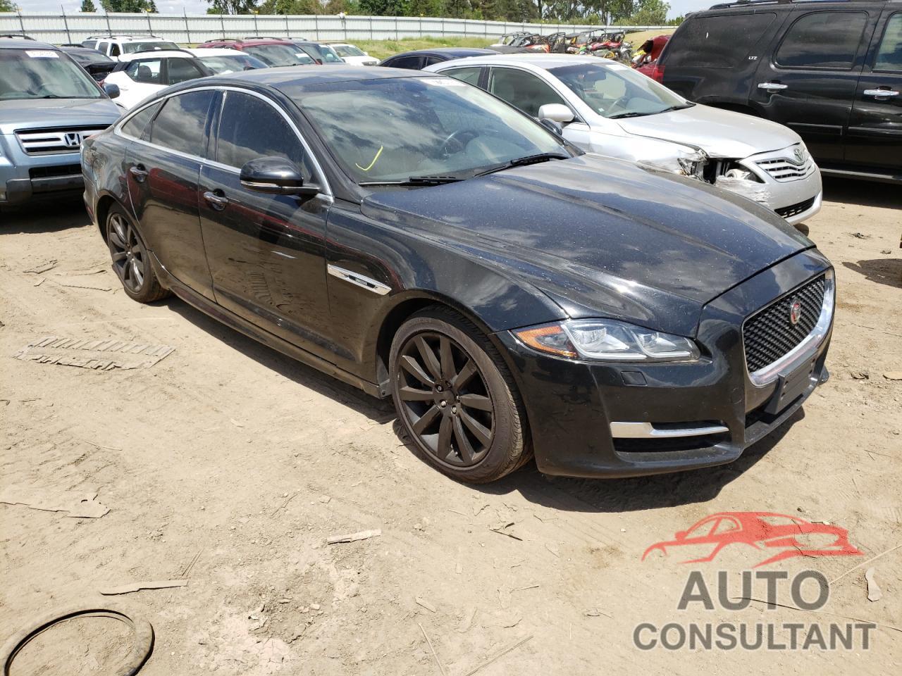 JAGUAR XJ 2016 - SAJWJ1CD3G8V98741