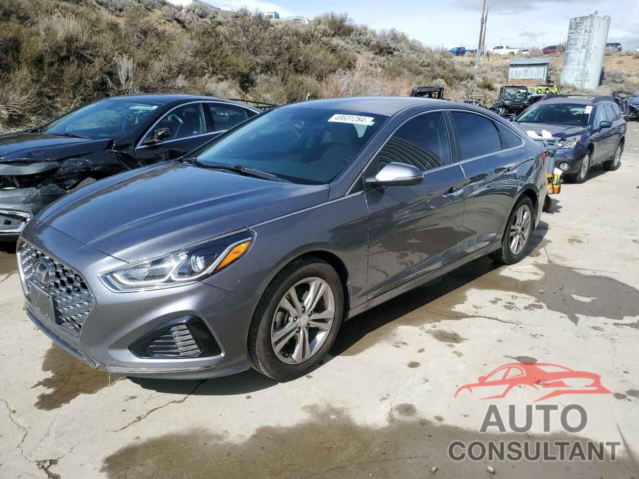 HYUNDAI SONATA 2019 - 5NPE34AF6KH776839