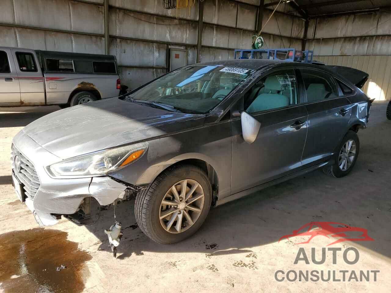 HYUNDAI SONATA 2019 - 5NPE24AF8KH755817