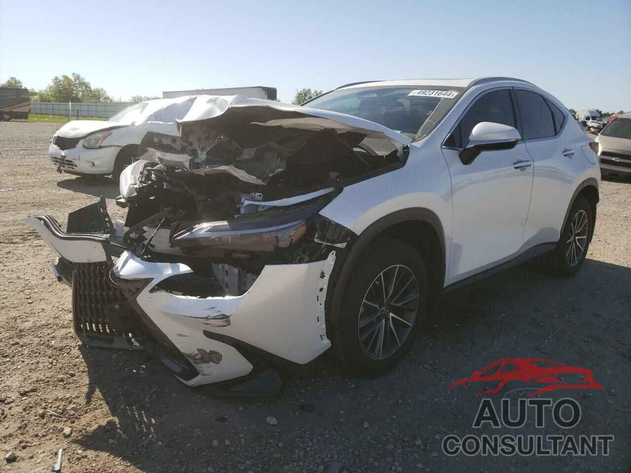 LEXUS NX 250 PRE 2024 - JTJGDCAZ5R5014040