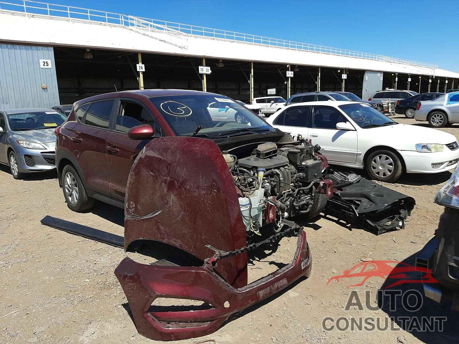HYUNDAI TUCSON 2017 - KM8J23A44HU378775