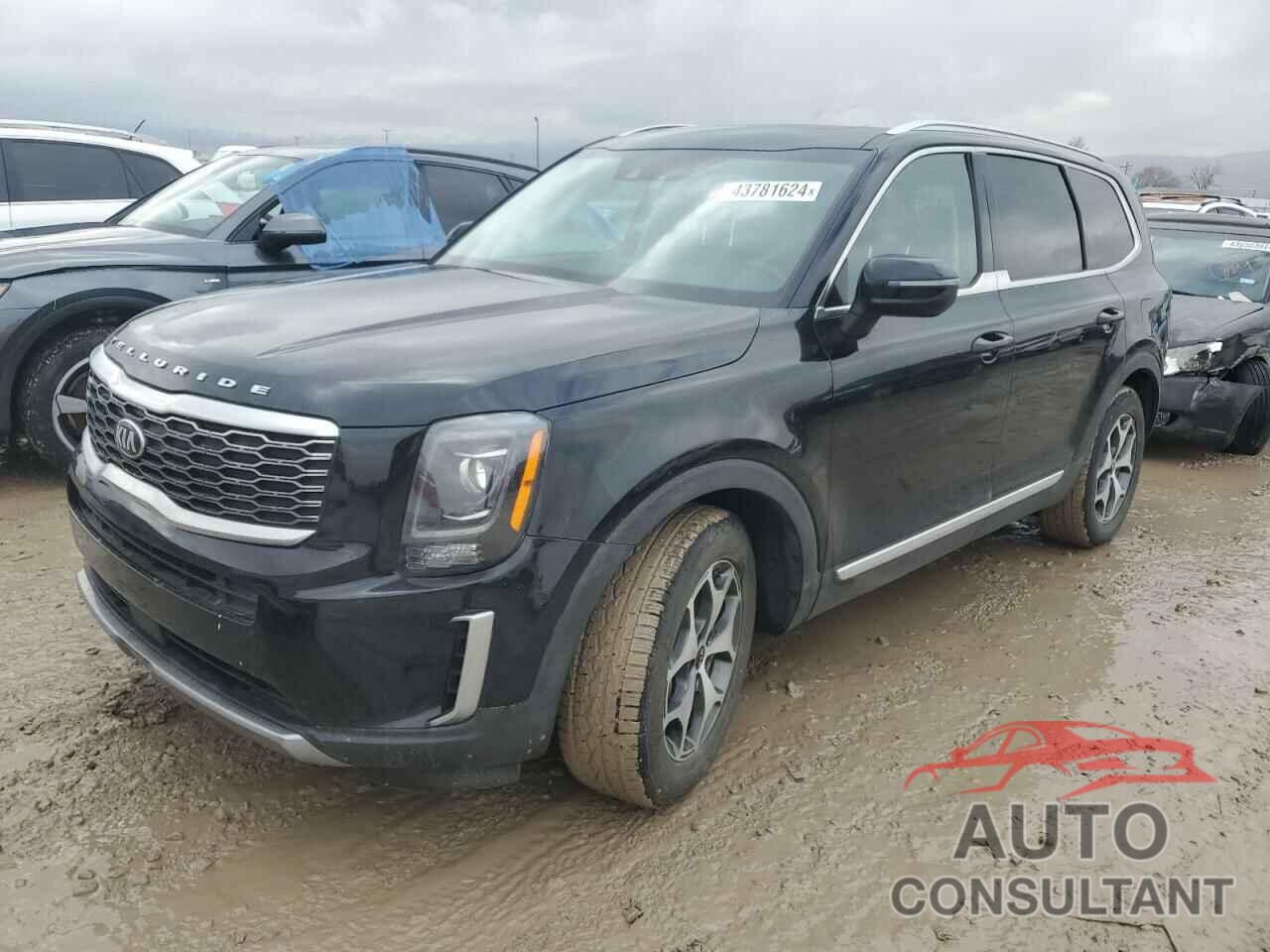 KIA TELLURIDE 2021 - 5XYP3DHC1MG180858