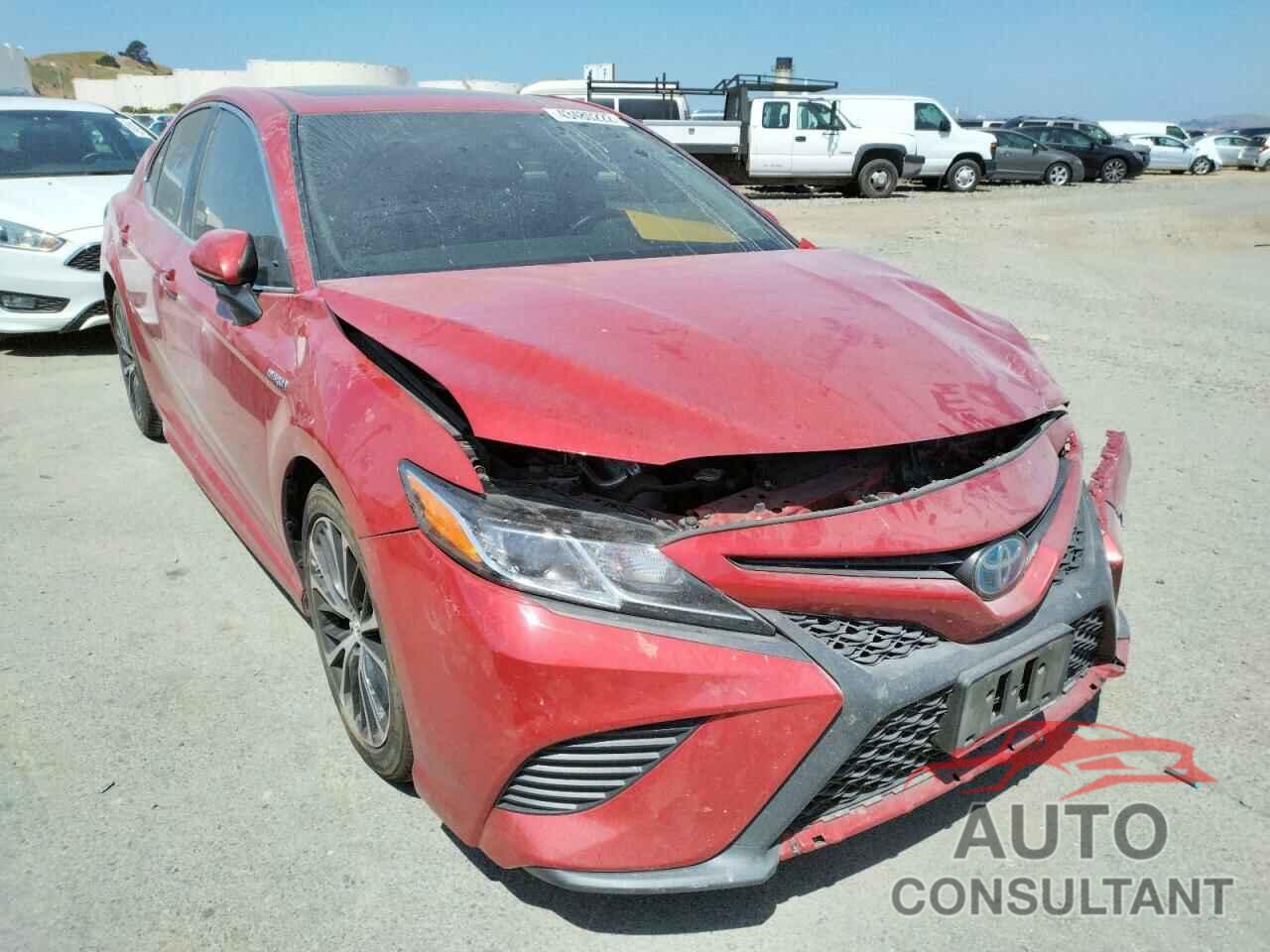 TOYOTA CAMRY 2019 - 4T1B21HK0KU011893