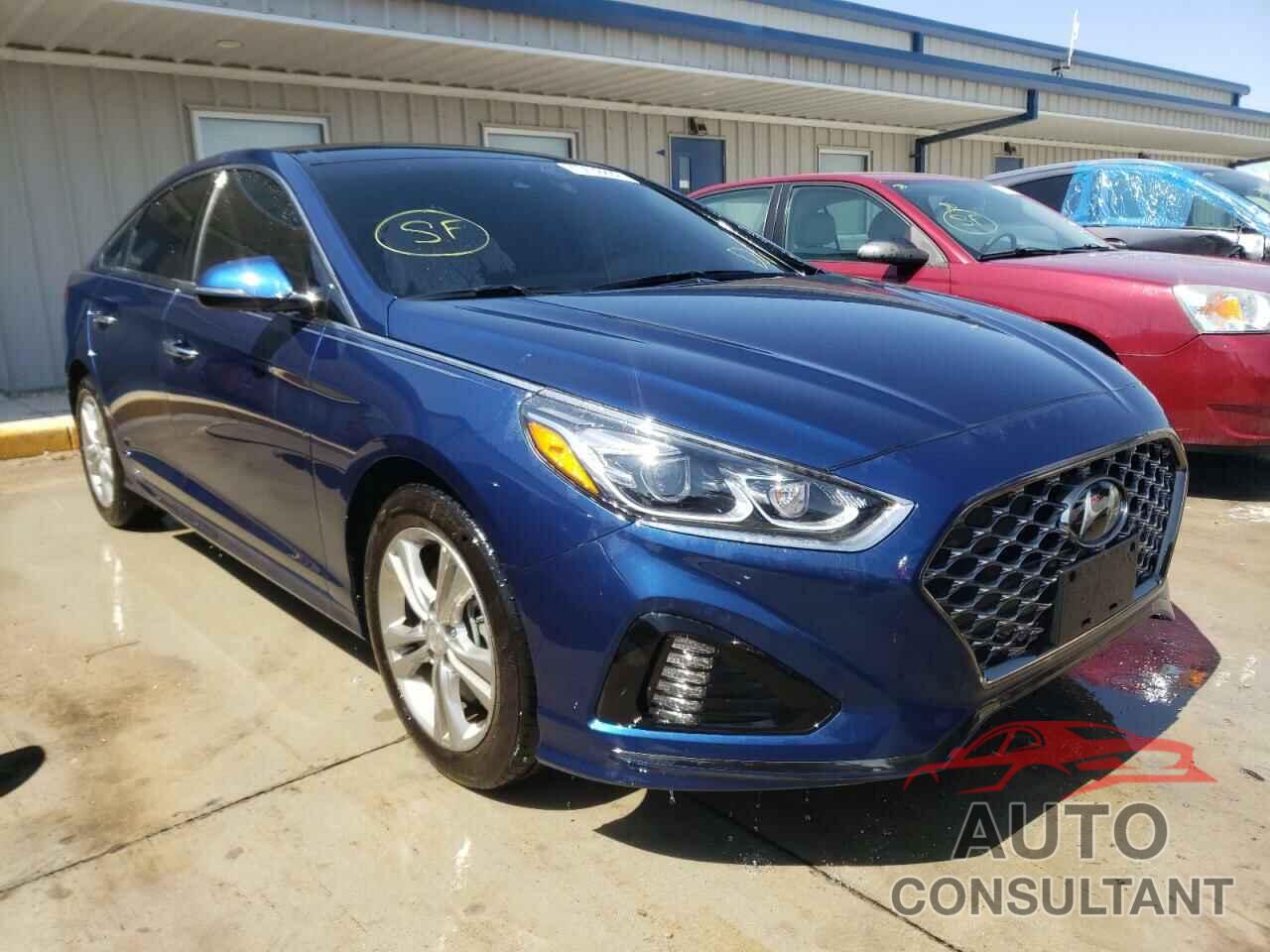 HYUNDAI SONATA 2019 - 5NPE34AFXKH778416