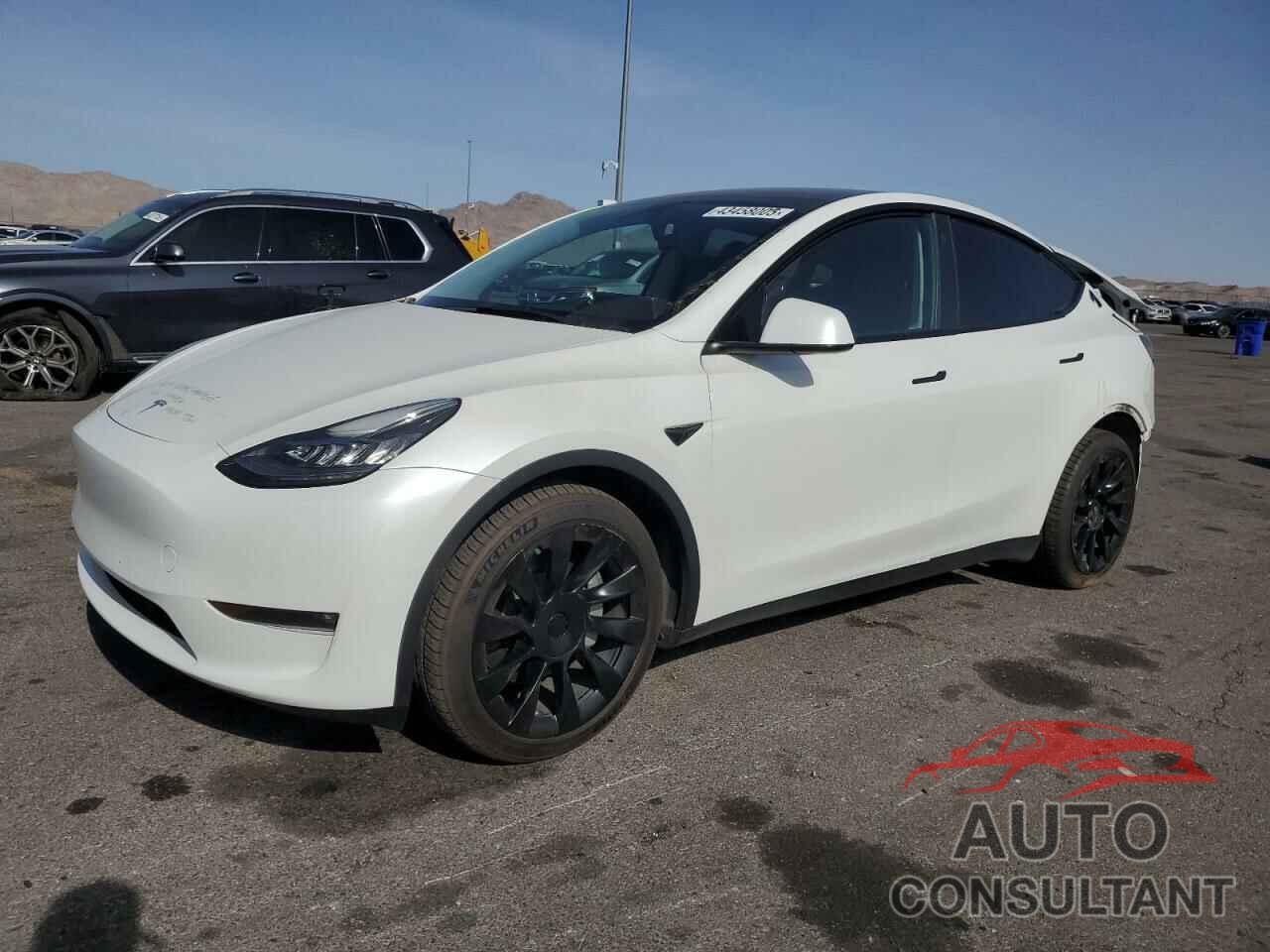 TESLA MODEL Y 2022 - 7SAYGDEE4NF379509