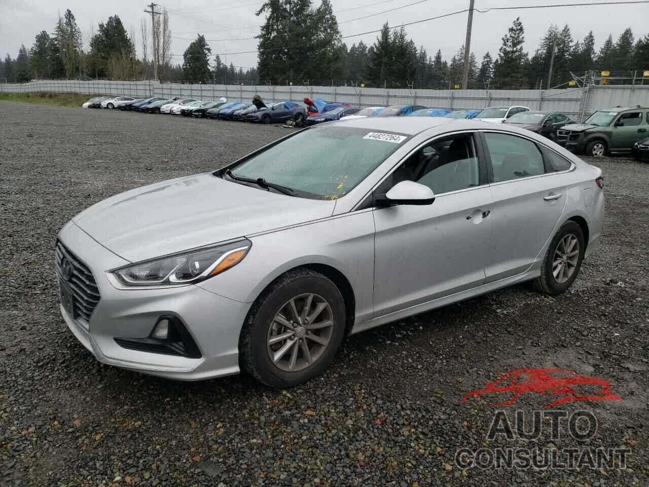 HYUNDAI SONATA 2019 - 5NPE24AF3KH791804