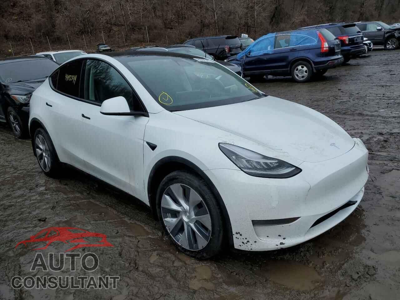 TESLA MODEL Y 2021 - 5YJYGDEE4MF083739