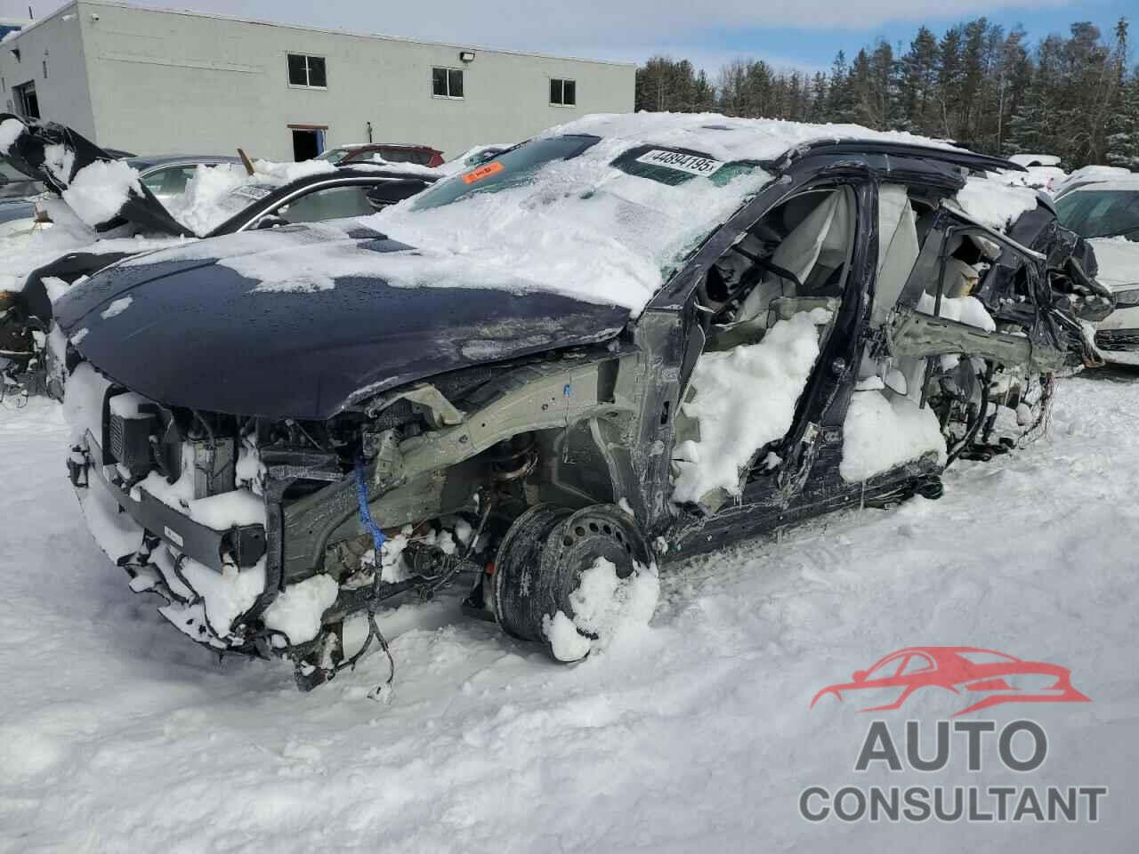 HYUNDAI TUCSON 2024 - KM8JCCD1XRU233398