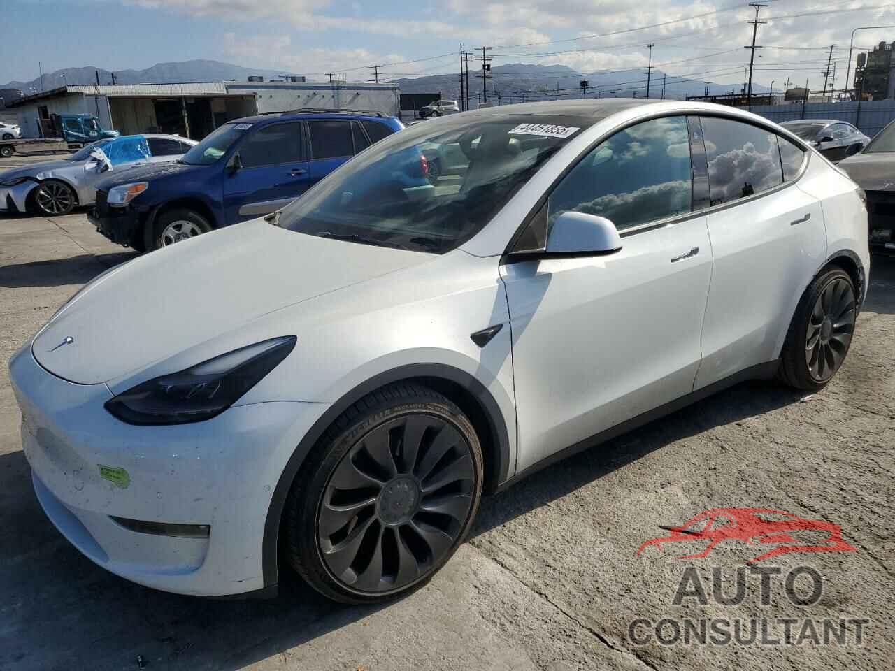 TESLA MODEL Y 2022 - 7SAYGDEF9NF406812